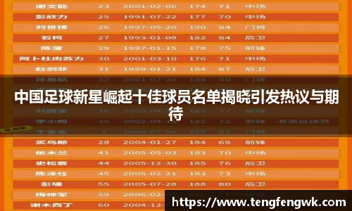 中国足球新星崛起十佳球员名单揭晓引发热议与期待